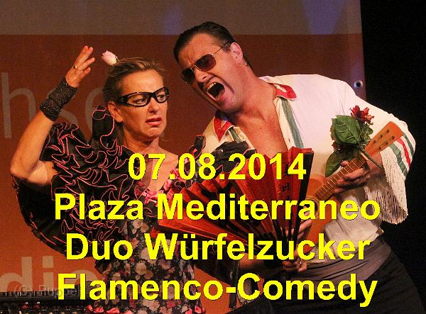 A_20140807 Plaza Mediterraneo Flamenco-Comedy_.jpg